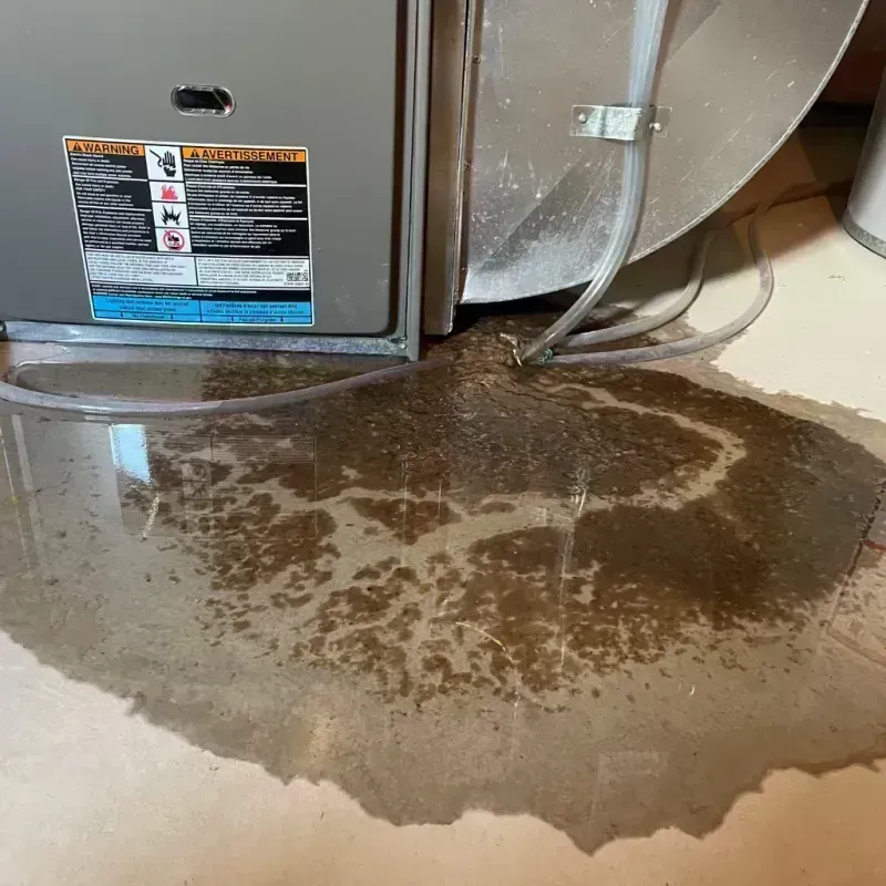 Appliance Leak Cleanup in Ravensworth, VA